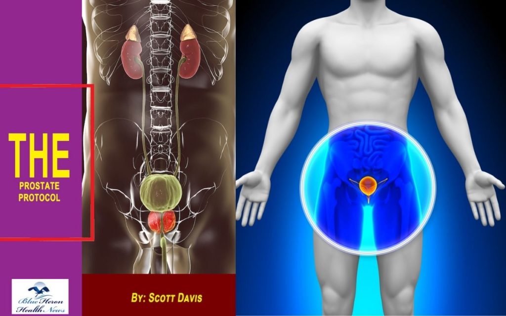 Prostate Protocol Scott Davis Reviews