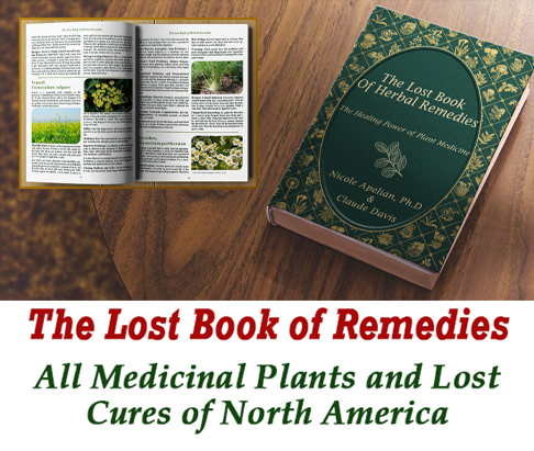 About The Lost Book Of Remedies Book