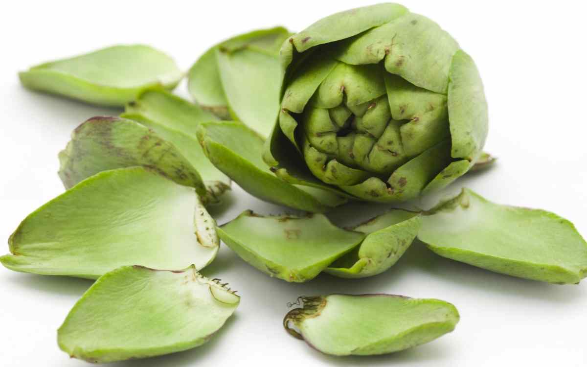 Artichoke (leaves)