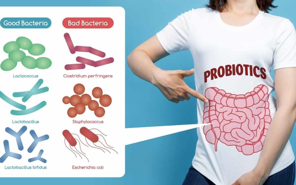 Biofit Probiotic Customer Reviews