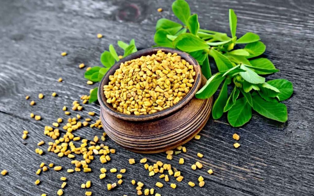 How to Make Fenugreek Seed For Diabetes