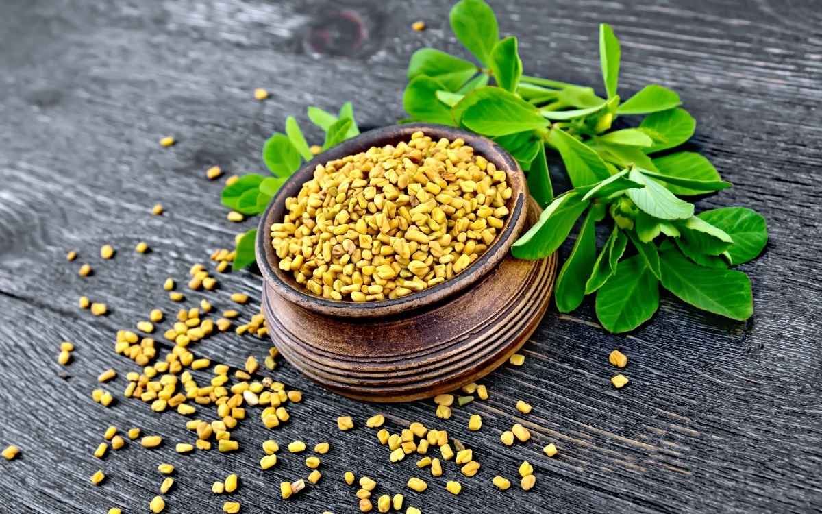 How to Make Fenugreek Seed For Diabetes 