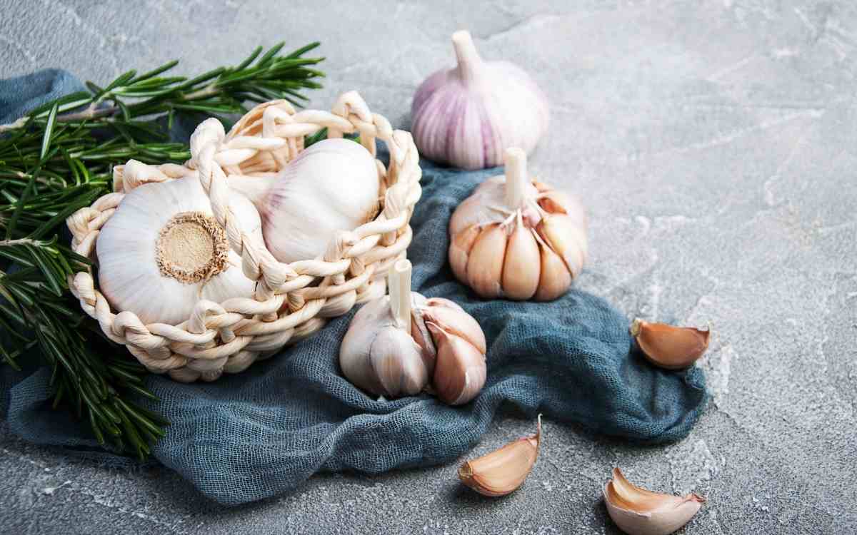 Does garlic help to grow hair?