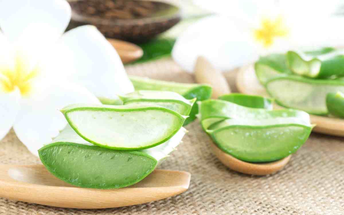 How to Use Aloe vera for Glowing Skin