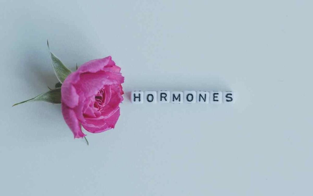 How To Balance Hormones Women Naturally
