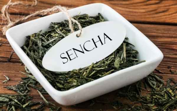 Sencha Green Tea