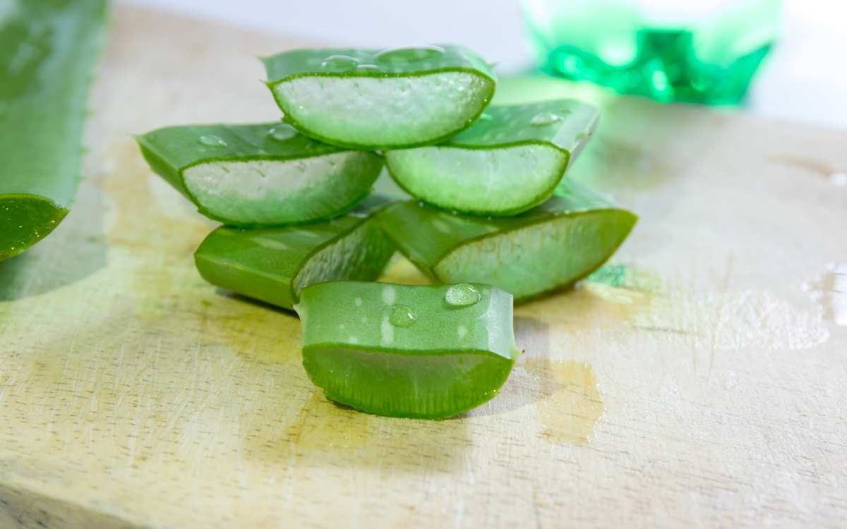 Can Aloe Vera Remove Pimples?