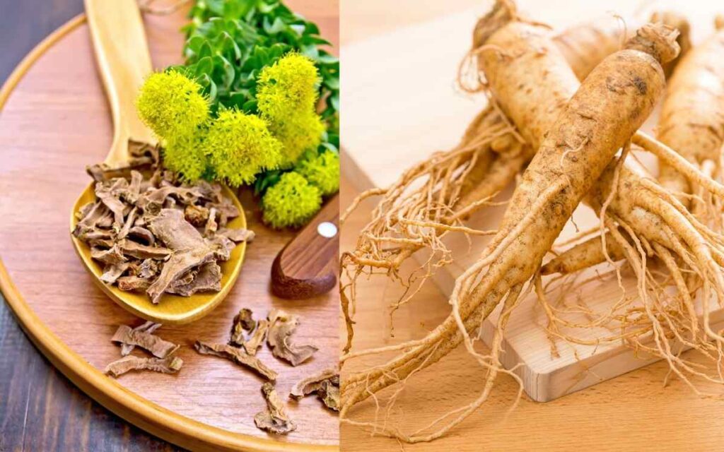 Rhodiola Rosea Extract and Red Ginseng