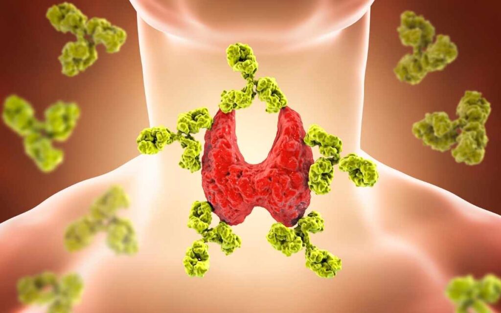 Thyroid-hormones