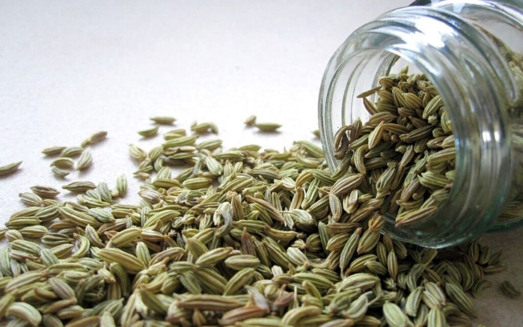 Fennel seed