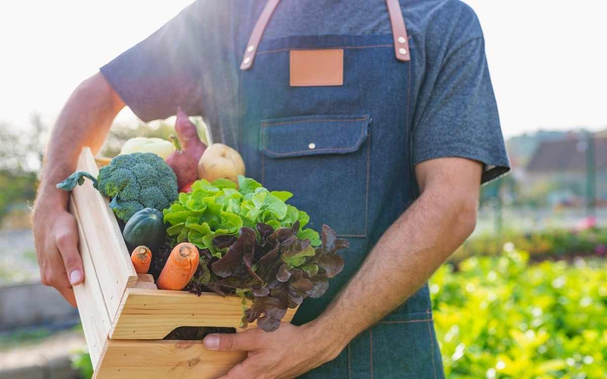 why-is-organic-food-better-for-the-environment