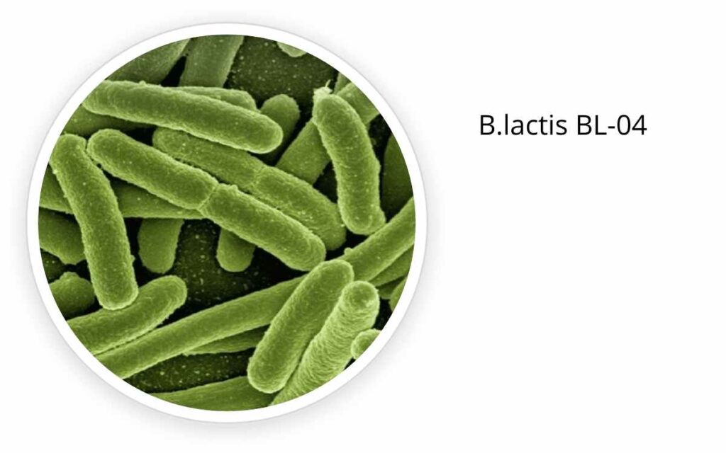 B.lactis BL-04