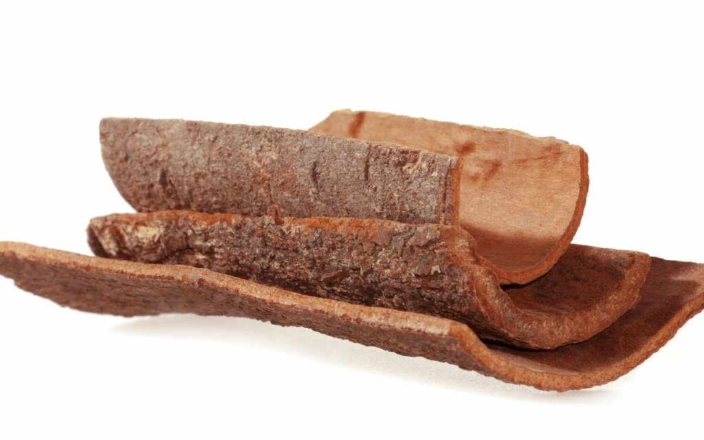 Cinnamon Bark Extract 