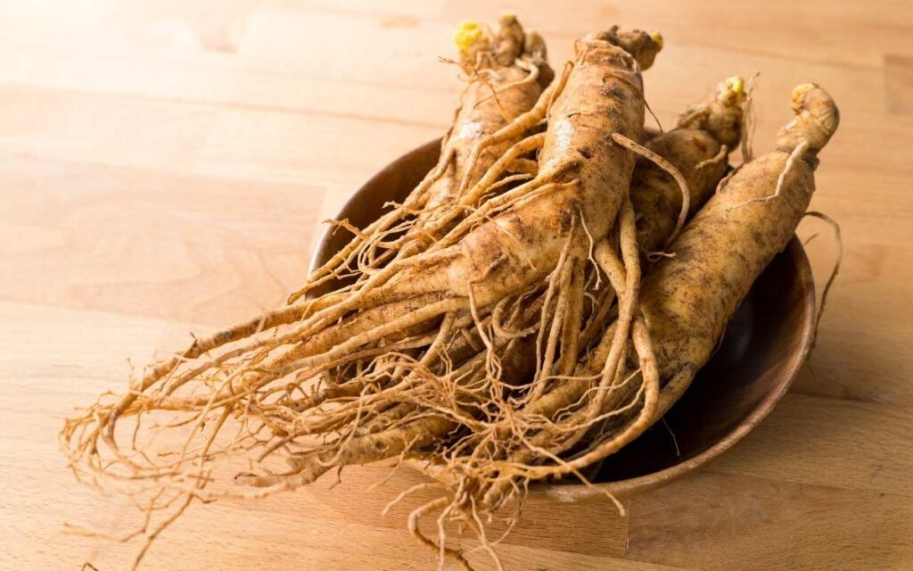 Korean Ginseng