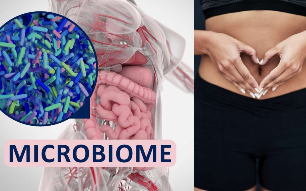 How To Improve The Gut Microbiome?