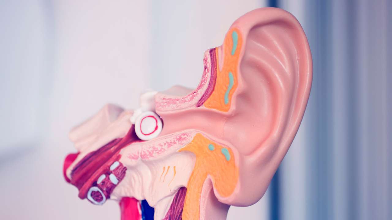 What You Need To Know Before Starting a Supplement Regimen For Ear Care