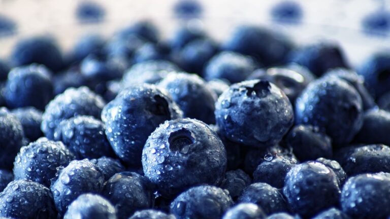 Blueberry, And Mint Tonic For Gout Sufferers