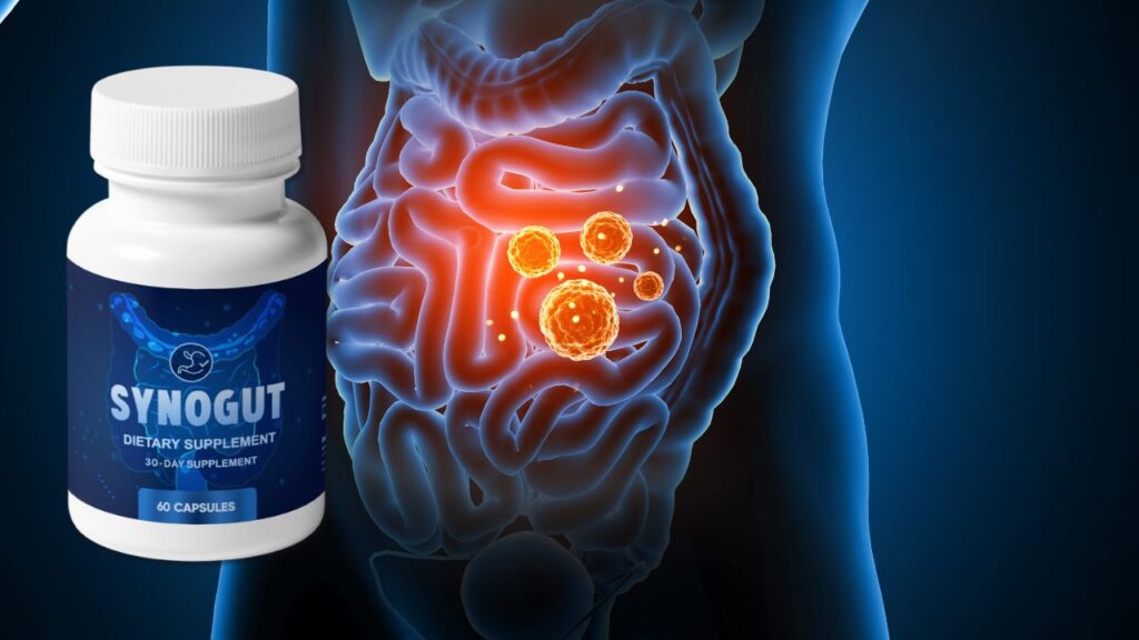 Does SynoGut Really Work?