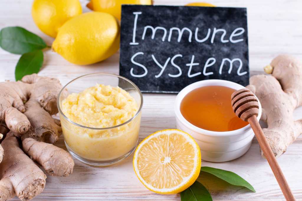 Immune System