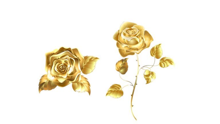 Best Real Gold Dipped Roses: How To Spot The Differences