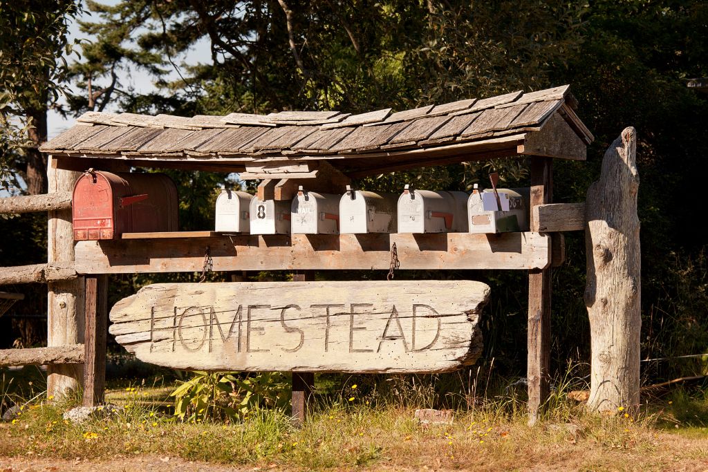 Chapter 2 Review: "The Homestead Plan