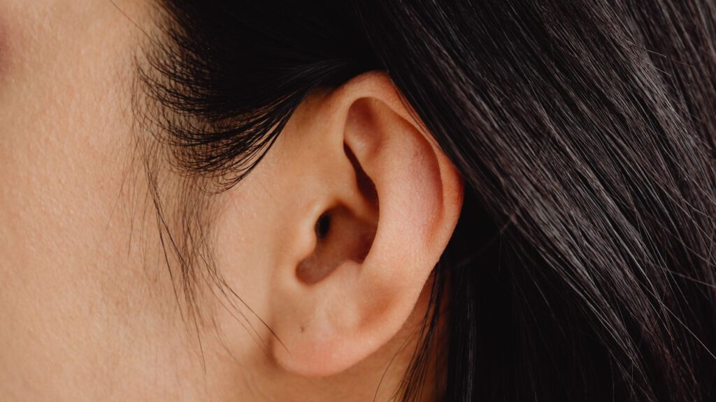 Is Zencortex Good For Ear Health?
