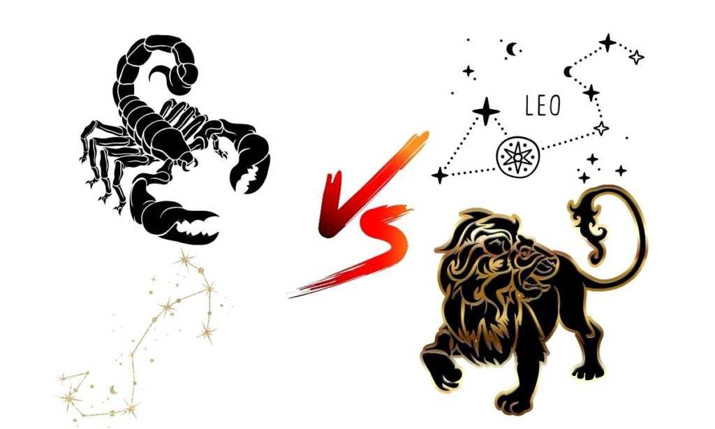 Scorpio & Leo