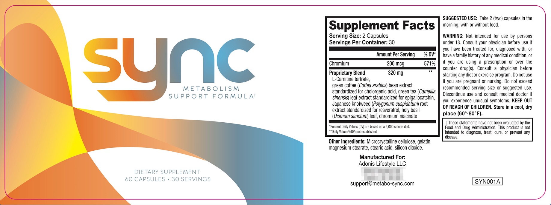 Sync Supplement Review