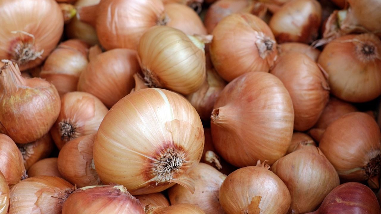 Can Onions Cause Bladder Problems?: Overactive Bladder Food