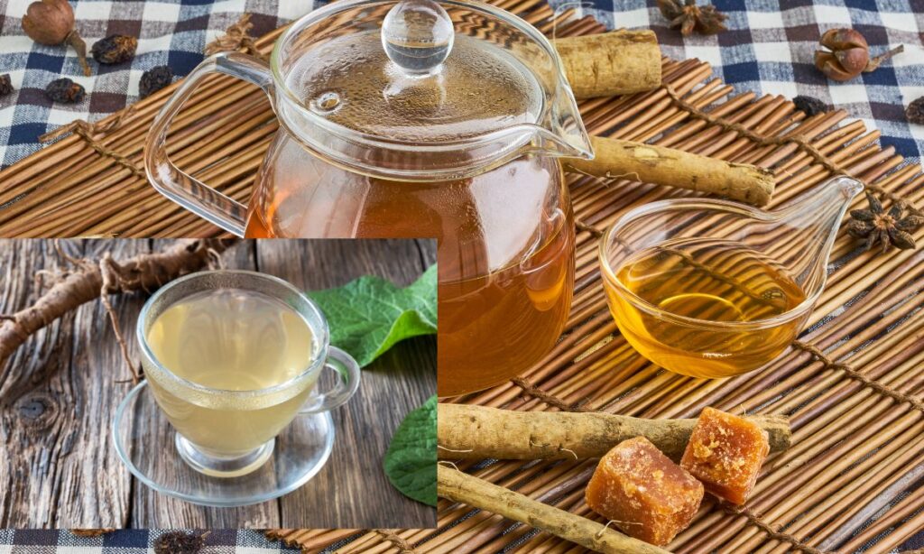 Gobocha Burdock Tea