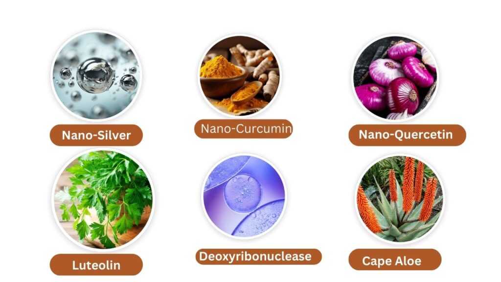 NanoDefense Pro ingredients