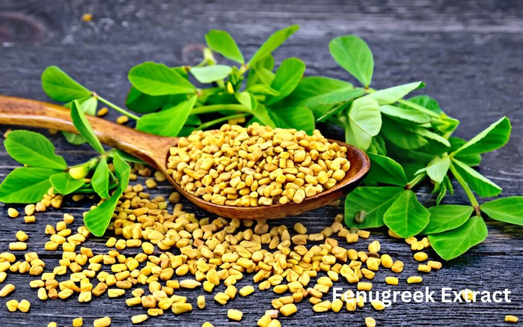 Fenugreek Extract