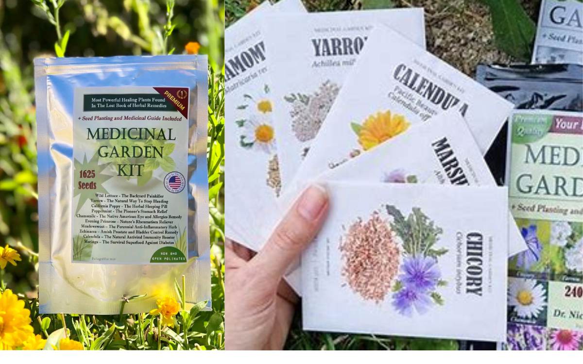 Medicinal Garden Kit by Nicole Apelian