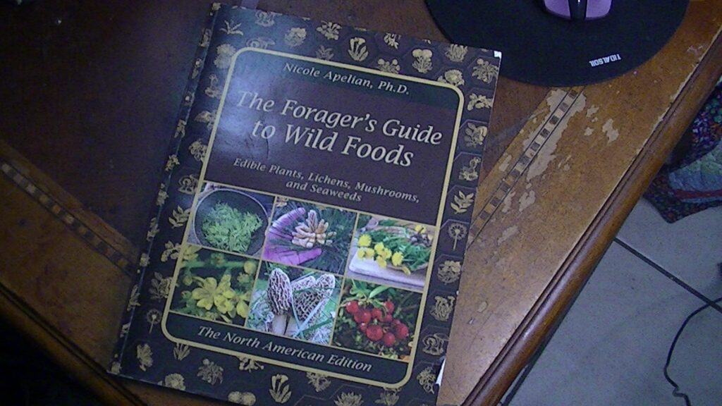 What's inside The Gorager's Guide To Wild Foods?