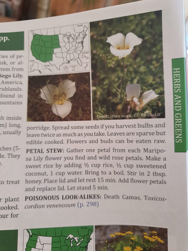 Plant Details in The Forager’s Guide to Wild Foods