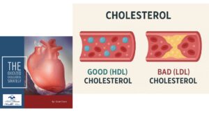The Oxidized Cholesterol Strategy Book By Scott Davis: Review