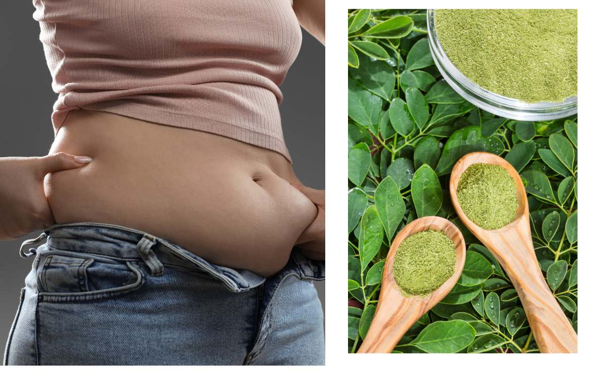 Does Moringa Reduce Belly Fat