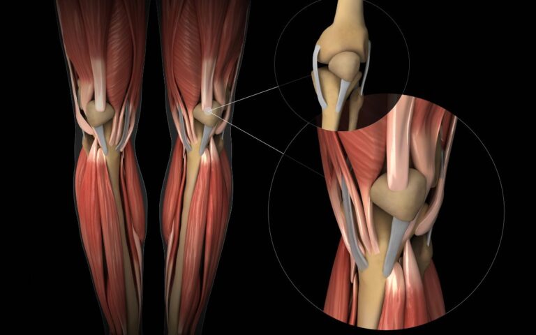 How To Repair Knee Cartilage Naturally