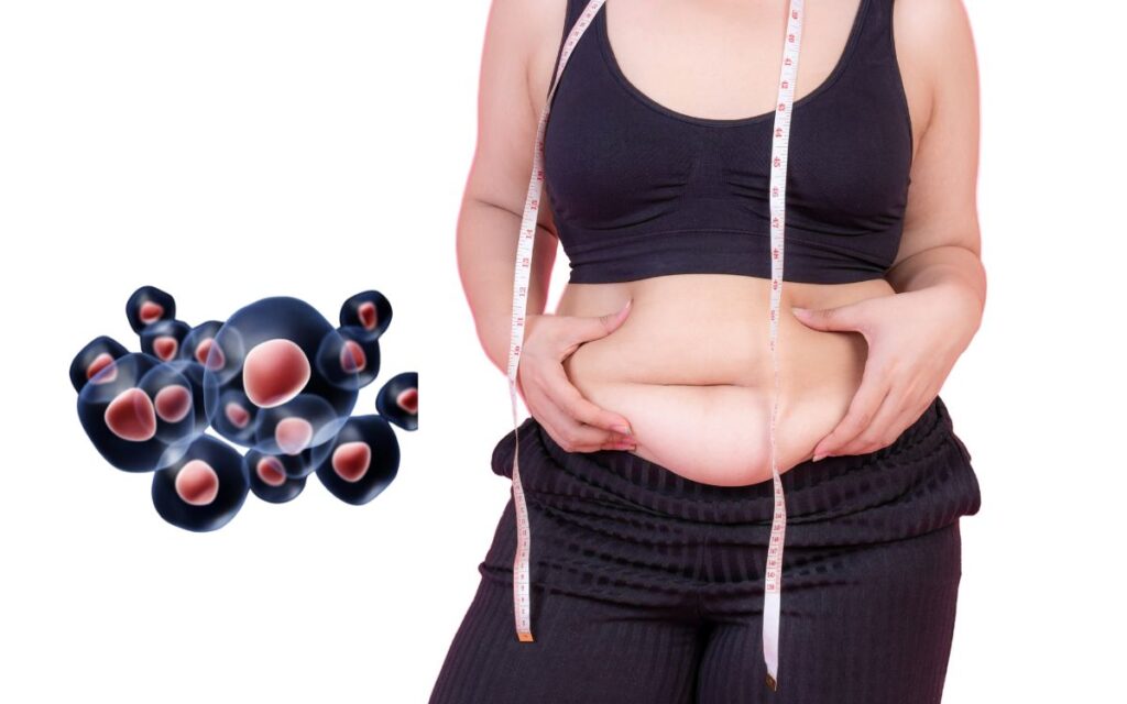 Melts Stubborn Fat (Especially Belly Fat)