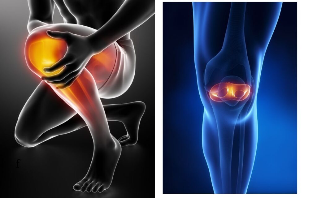 Why Cartilage Matters More Than You Think