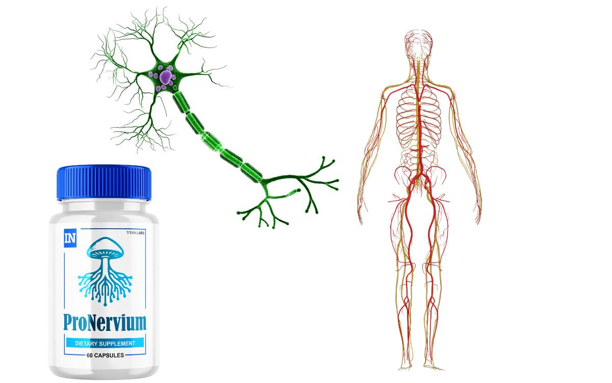 ProNervium Review: Nerve Relief or Empty Promise?