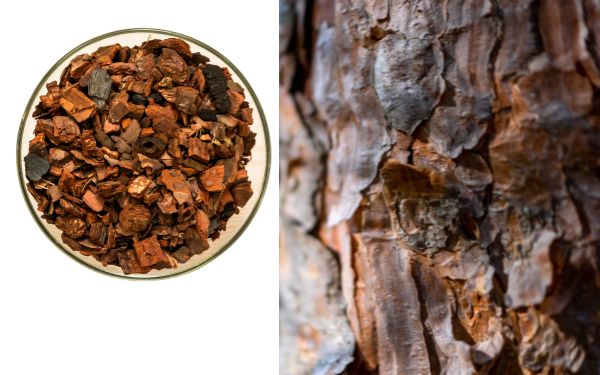 Pine Bark Extract