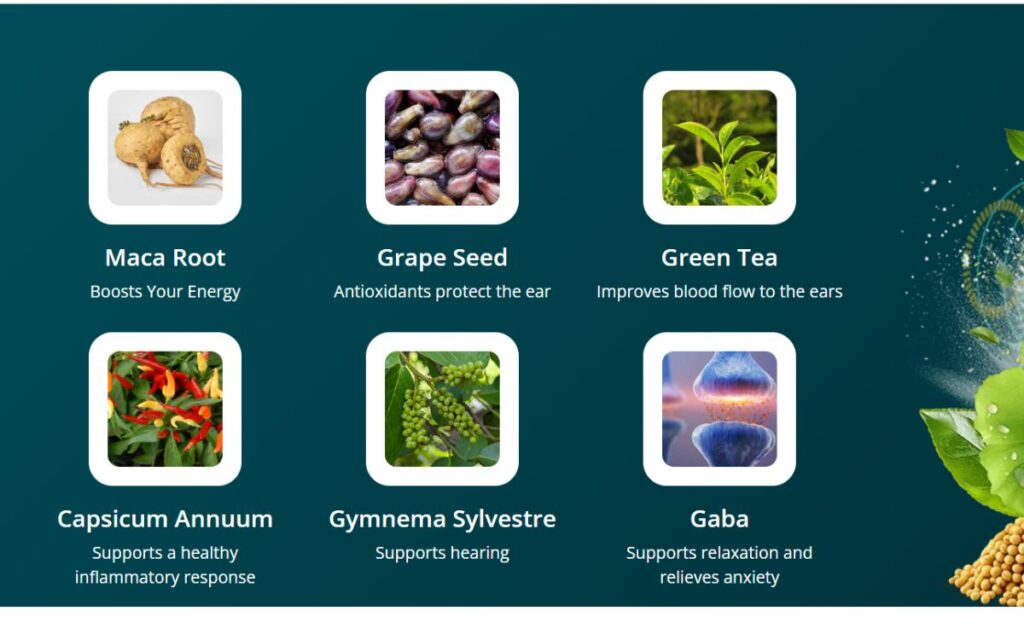 Audifort Ingredients: