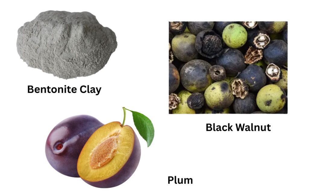 The Niche Players: Bentonite Clay, Black Walnut, & Plum