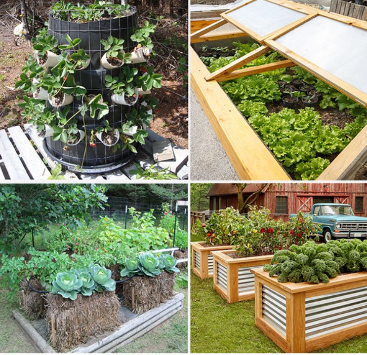 A Keyhole Garden (Medium)