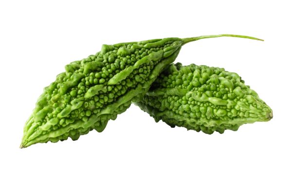 Bitter Melon