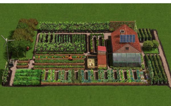 Chapter 2: The Homestead Plan