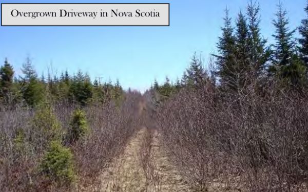 Chapter 4 - Road Building