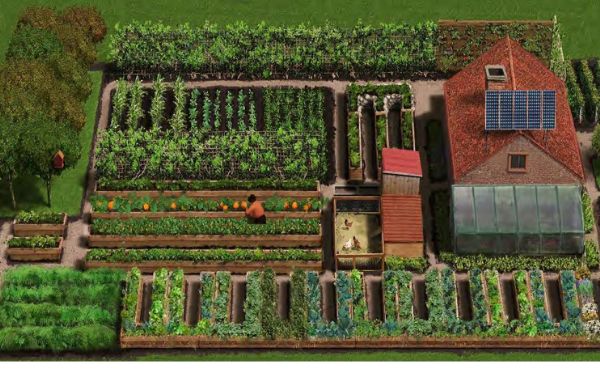 Easy-on-the-Back-Gardening