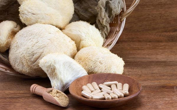 Lion’s Mane Mushroom